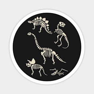 Dinosaur Fossils in Black Magnet